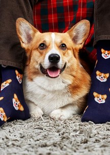 Носки с корги Funny Socks