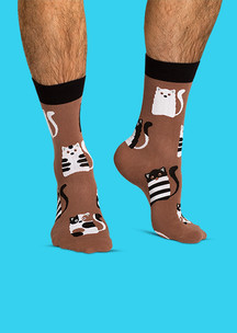 Цветные носки JNRB: Носки Кофейные коты