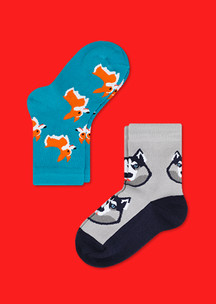 Цветные носки JNRB: Носки детские (2 пары) Друзья человека