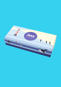 Цветные носки JNRB: Набор Круизный