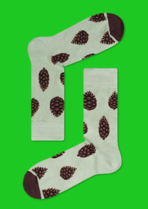 Преподавателю JNRB: Носки Шишки