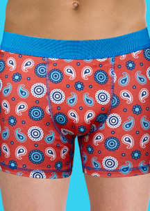 Мужские трусы боксеры JNRB: Трусы боксеры Коралловые огурцы