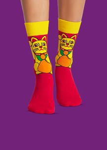 Цветные носки JNRB: Носки Кошка счастья