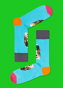 Цветные носки JNRB: Носки Уэльский корги