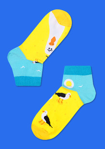Цветные носки JNRB: Носки Чайка Джонатан
