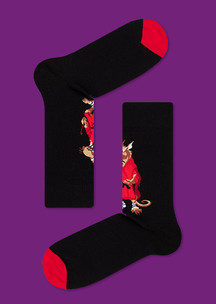 Цветные носки JNRB: Носки Мастер Сплинтер