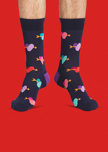 Мужские носки FunnySocks