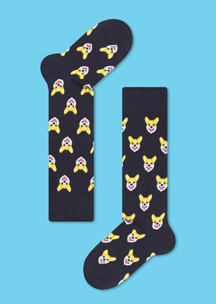 Цветные носки JNRB: Гольфы Корги