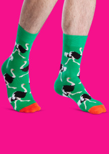 Цветные носки JNRB: Носки страус Штраус
