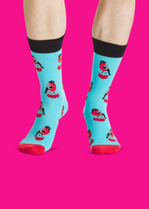 Цветные носки JNRB: Носки Морозный денёк