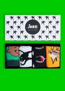 Цветные носки JNRB: Набор Мемы