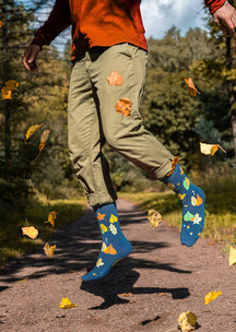Цветные носки JNRB: Носки Осенний гербарий