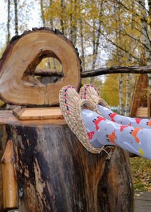 Цветные носки JNRB: Носки Лис и осенний лес