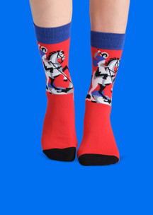 Цветные носки JNRB: Носки Георгий и Змей