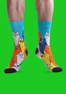 Цветные носки JNRB: Носки Просветленные коты