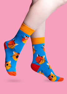 Цветные носки JNRB: Носки Дворовый кот