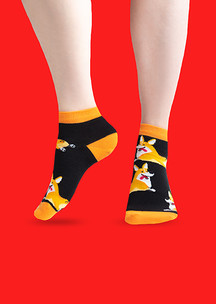 Цветные носки JNRB: Носки Снова корги