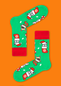 Зеленые JNRB: Носки Долгожданный подарок