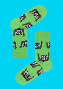 Цветные носки JNRB: Набор Еноты