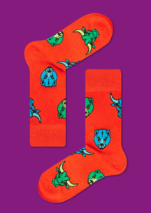 Цветные носки JNRB: Набор Тайны мира 14 пар