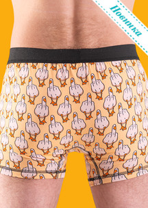 Цветные носки JNRB: Трусы боксеры Duck you