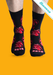 Мужские носки JNRB: Носки Огненная лошадь