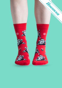 Женские носки JNRB: Носки Санта и большой куш