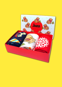 Мужские носки JNRB: Набор Новогодняя капибара