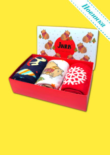 Женские носки JNRB: Набор Новогодняя капибара