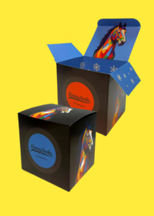 Look для всей семьи Сани Санты JNRB: Коробка для 4х пар Графический конь 2026