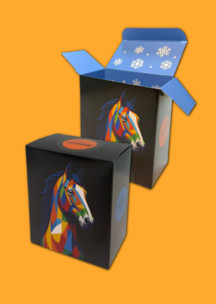 JNRB: Коробка для 2х пар Графический конь 2026