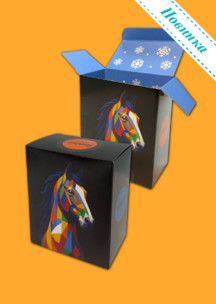 JNRB: Коробка для 2х пар Графический конь 2026